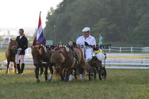 carriage_0761.jpg