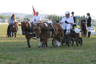 carriage_0762.jpg