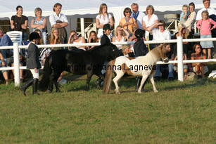 ch_0737.jpg
