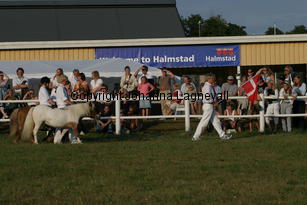 dk_0700.jpg