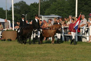 nl_0721.jpg