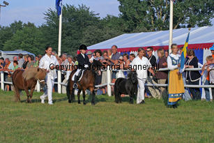 se_0753-2.jpg