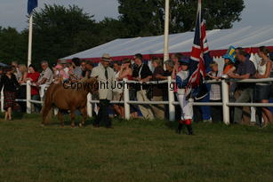 uk_0711.jpg