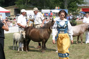 almnasbelle_2208.jpg