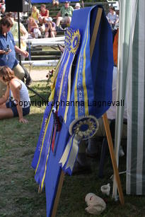 gehang_2360.jpg