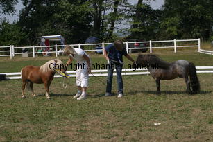 ilearnedfromthebest-letstryagain_2302.jpg