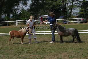 ilearnedfromthebest-letstryagain_2305.jpg