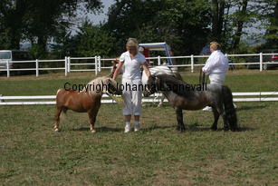 ilearnedfromthebest-letstryagain_2306.jpg