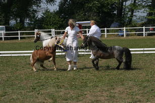 ilearnedfromthebest-letstryagain_2307.jpg