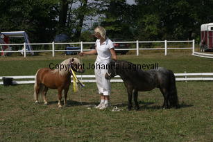 ilearnedfromthebest-letstryagain_2308.jpg