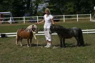 ilearnedfromthebest-letstryagain_2309.jpg