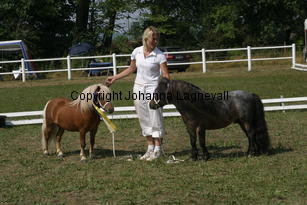 ilearnedfromthebest-letstryagain_2310.jpg