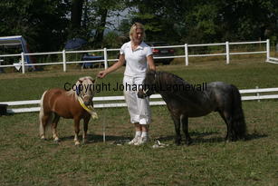 ilearnedfromthebest-letstryagain_2311.jpg