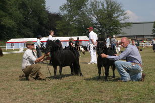 keensacreeclipse-blackertorsolarblack_2297.jpg