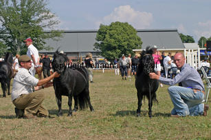 keensacreeclipse-blackertorsolarblack_2298-2.jpg