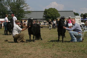keensacreeclipse-blackertorsolarblack_2299.jpg