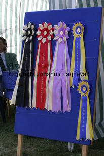 prisrosetter_2280.jpg