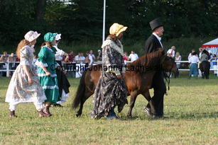 brown_0662.jpg