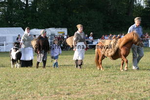 farm_0649.jpg
