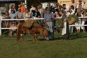 farm_0688.jpg