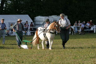 harv_0646.jpg