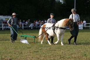 harv_0647.jpg