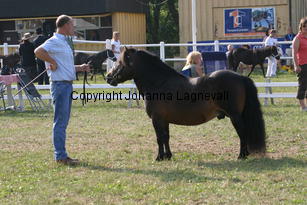 brockvilleventure_1722.jpg