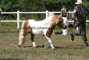 butterbuexpress_1342.jpg