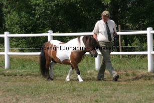 butterbykracker_1332.jpg