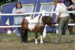 butterbykracker_1336.jpg
