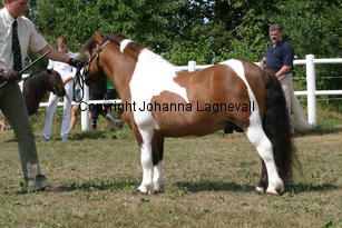 butterbykracker_1343.jpg