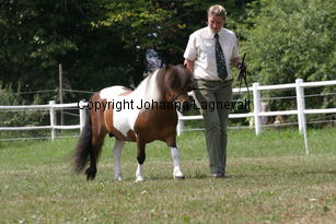 butterbykracker_1346.jpg