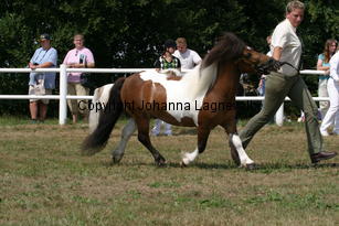 butterbykracker_1350.jpg
