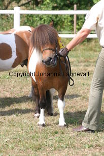 butterbykracker_1382.jpg