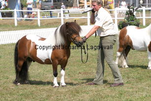 butterbykracker_1390.jpg