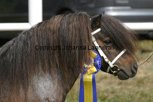 letstryagain_2076-3.jpg