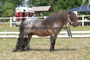 letstryagain_2095.jpg