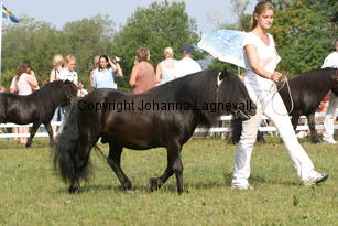 perigueuxvisala_1813.jpg