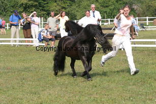 perigueuxvisala_1817.jpg