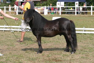perigueuxvisala_1953.jpg