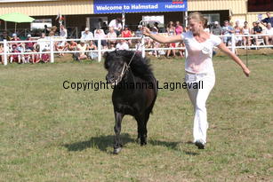 perigueuxvisala_2329.jpg