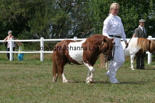 rodengardsgimmic_1354.jpg