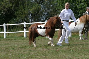 rosengardsgimmic_1360.jpg
