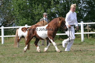 rosengardsgimmic_1361.jpg