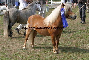 sonofgold_1969.jpg
