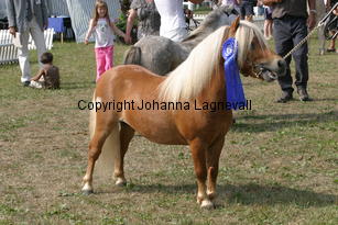 sonofgold_1970.jpg