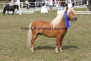 sonofgold_1972.jpg