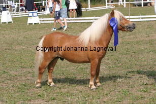 sonofgold_1974.jpg