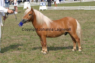 sonofgold_1975.jpg
