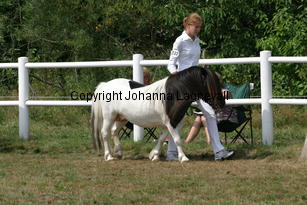 stepleydoubleventure_1329.jpg